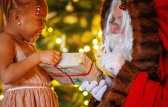 Festive Stories with Father Christmas