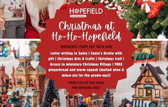 Christmas at Ho Ho Hopefield