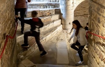 Family Tours