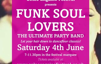 Funk Soul Lovers at Colne Engaine Festival