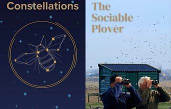 Frinton Summer Theatre - Constellations & The Social Plover: Double Bill