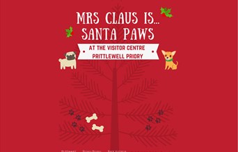 Mrs. Claus is... Santa Paws
