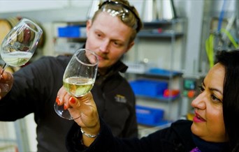 Friday Wine Tasting Experience