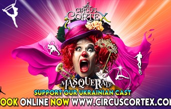 Circus CORTEX at HARLOW