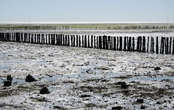 Cudmore Grove beach