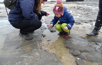 Naze Family Fossil Discovery