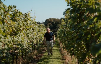 Tuffon Hall Jubilee Wine Tasting