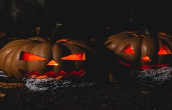 Dark and Twisted Tales for Adults