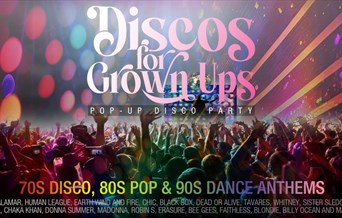 Discos for Grown Ups