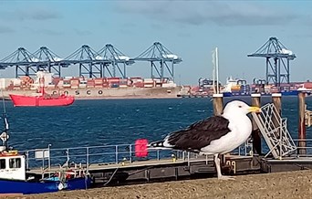 Dovercourt to Harwich stations walk through history