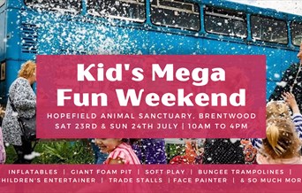Kid's Mega Fun Weekend