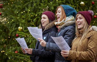 Carols at Audley End