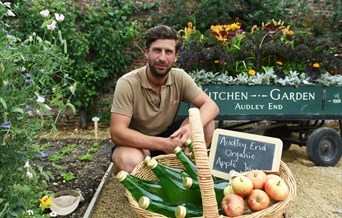 Audley Apple Festival