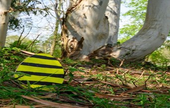 Easter Egg Trail