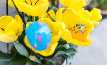 Easter Egg Hunt