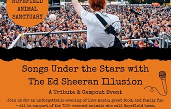 Songs Under the Stars With the Ed Sheeran Illusion
