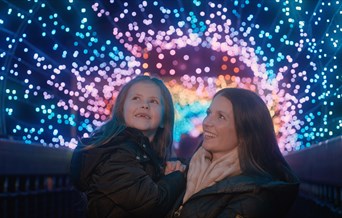 Enchanted Trail of Light