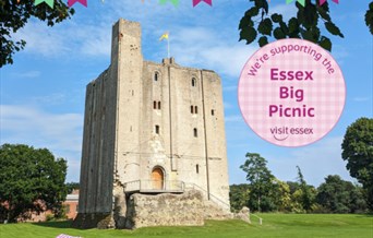 Essex Big Picnic at Hedingham Castle
