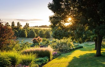 The setting sun setting through the trees illuminating the flower beds