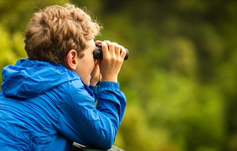 Becoming a Birdwatcher