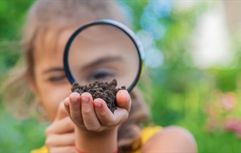 Becoming a Nature Watcher