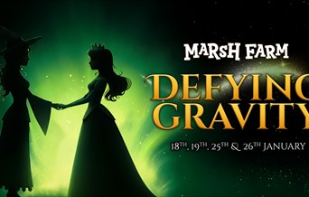 Defying Gravity