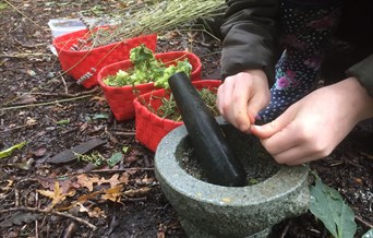 Grange Farm Woodland Magic