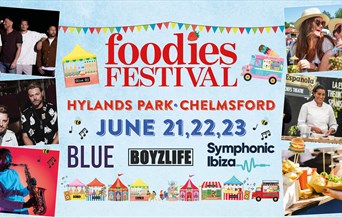 Foodies Festival