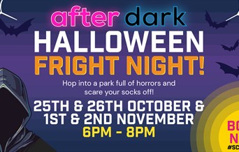 After Dark Fright Night