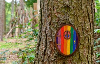 Fairy Doors Trail