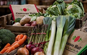 Fresh Vegetables Cammas Hall Farm Shop