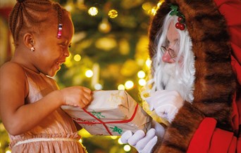 Father Christmas at Audley End