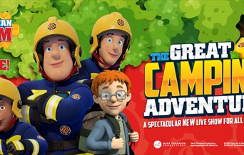 Fireman Sam: The Great Camping Adventure