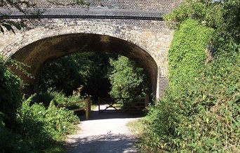 Flitch Bridge Essex