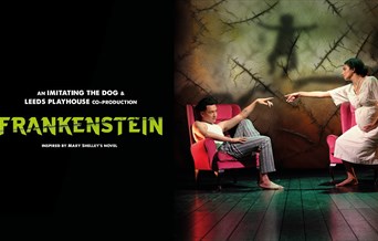 imitating the dog's Frankenstein