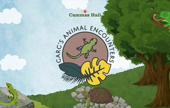 Garg's Animal Encounters