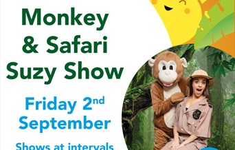 Marvin Monkey & Safari Suzy