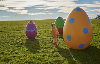 The Giant Easter Egg Hunt