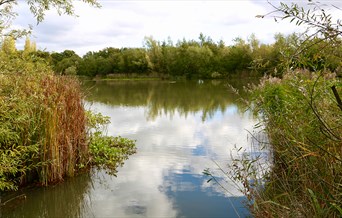 Great Notley Country Park