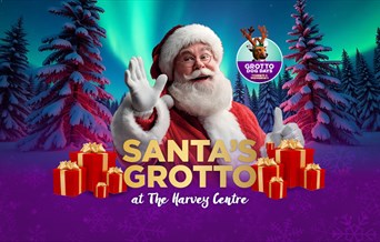 Santa's Grotto at the Harvey Centre