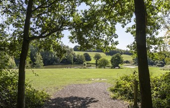 A footpath at High Woods Country Park leading out of the woods into an open field. A lake is in the distance.