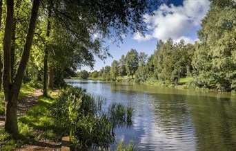 The fishing lake at High Woods Country Park