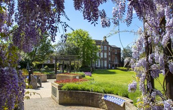 Visit Colchester Information Centre exterior with wisteria