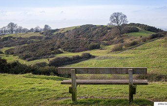 Hadleigh Country Park