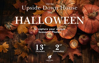 Visit the Upside Down House This Halloween to Capture Unique Seasonal Photos