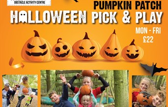 Halloween Pick & Play