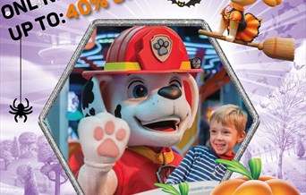 No tricks just treats, SAVE up to 40% OFF tickets online in advance this October half term!