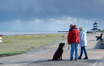 Harwich beach dog walk