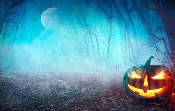Pumpkin in the woods.