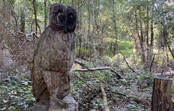 A wooden sculpture of an owl at High Woods Country Park